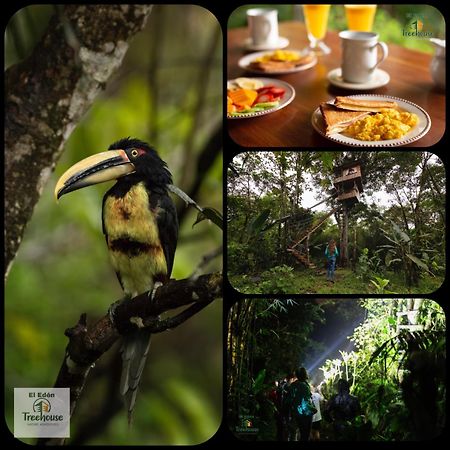 Eden Treehouse Villa มินโด ภายนอก รูปภาพ