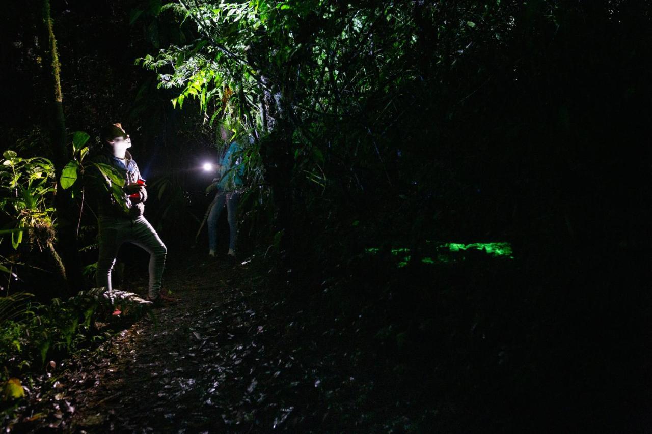 Eden Treehouse Villa มินโด ภายนอก รูปภาพ
