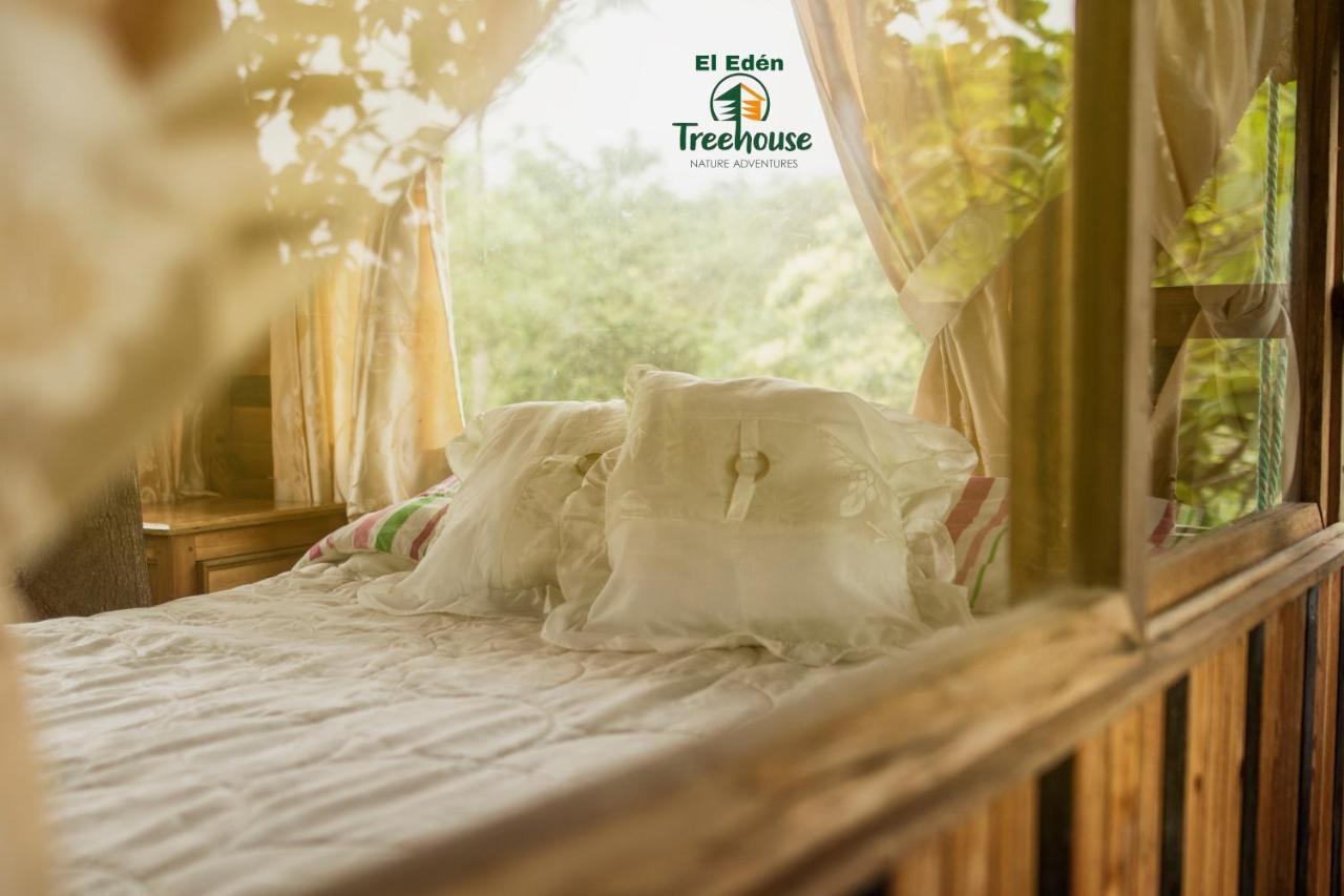 Eden Treehouse Villa มินโด ภายนอก รูปภาพ