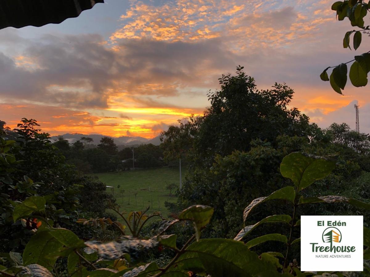 Eden Treehouse Villa มินโด ภายนอก รูปภาพ