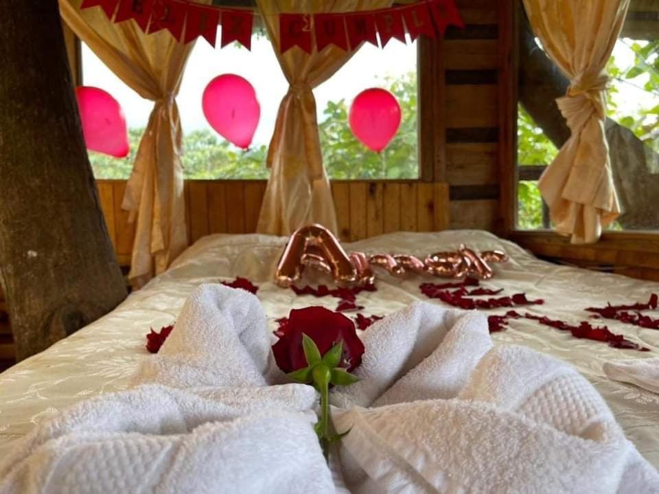 Eden Treehouse Villa มินโด ภายนอก รูปภาพ