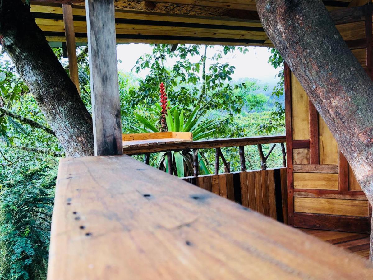 Eden Treehouse Villa มินโด ภายนอก รูปภาพ