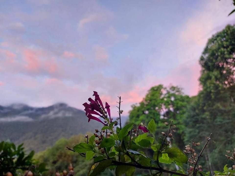 Eden Treehouse Villa มินโด ภายนอก รูปภาพ