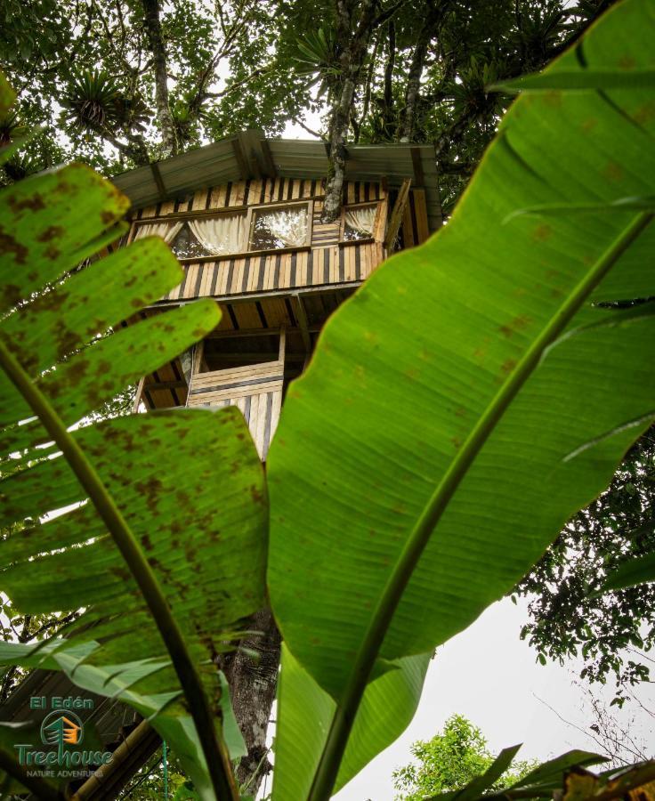 Eden Treehouse Villa มินโด ภายนอก รูปภาพ