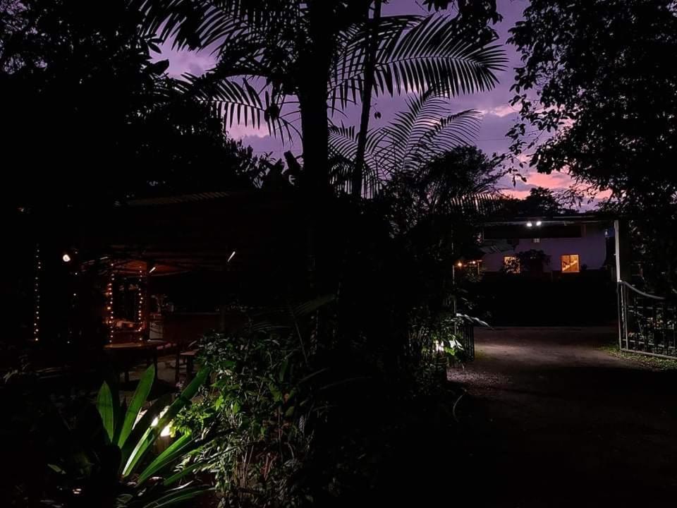 Eden Treehouse Villa มินโด ภายนอก รูปภาพ