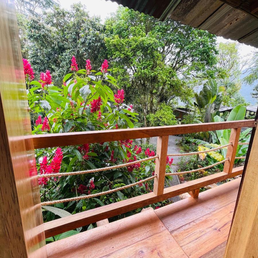 Eden Treehouse Villa มินโด ภายนอก รูปภาพ