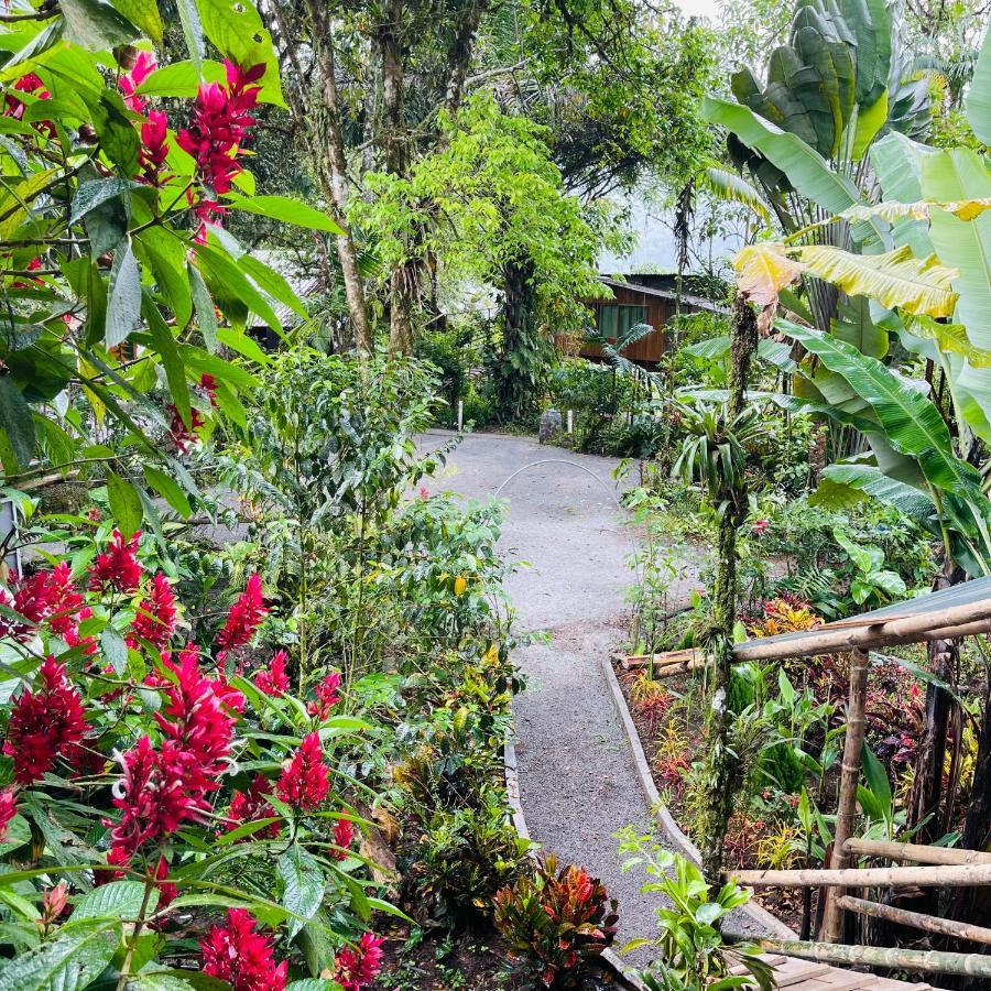 Eden Treehouse Villa มินโด ภายนอก รูปภาพ