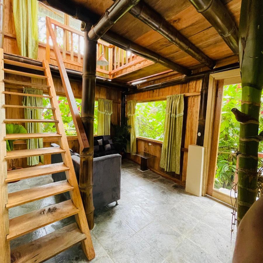 Eden Treehouse Villa มินโด ภายนอก รูปภาพ