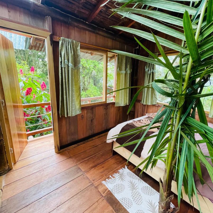 Eden Treehouse Villa มินโด ภายนอก รูปภาพ