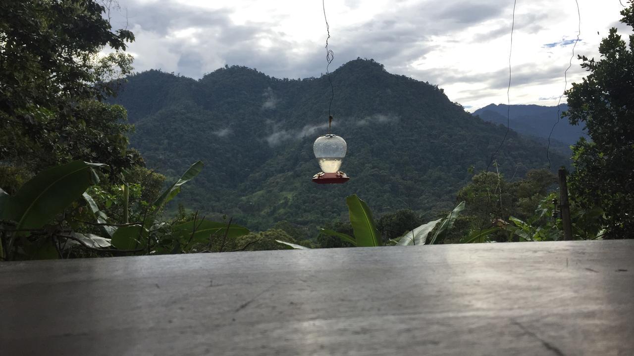Eden Treehouse Villa มินโด ภายนอก รูปภาพ