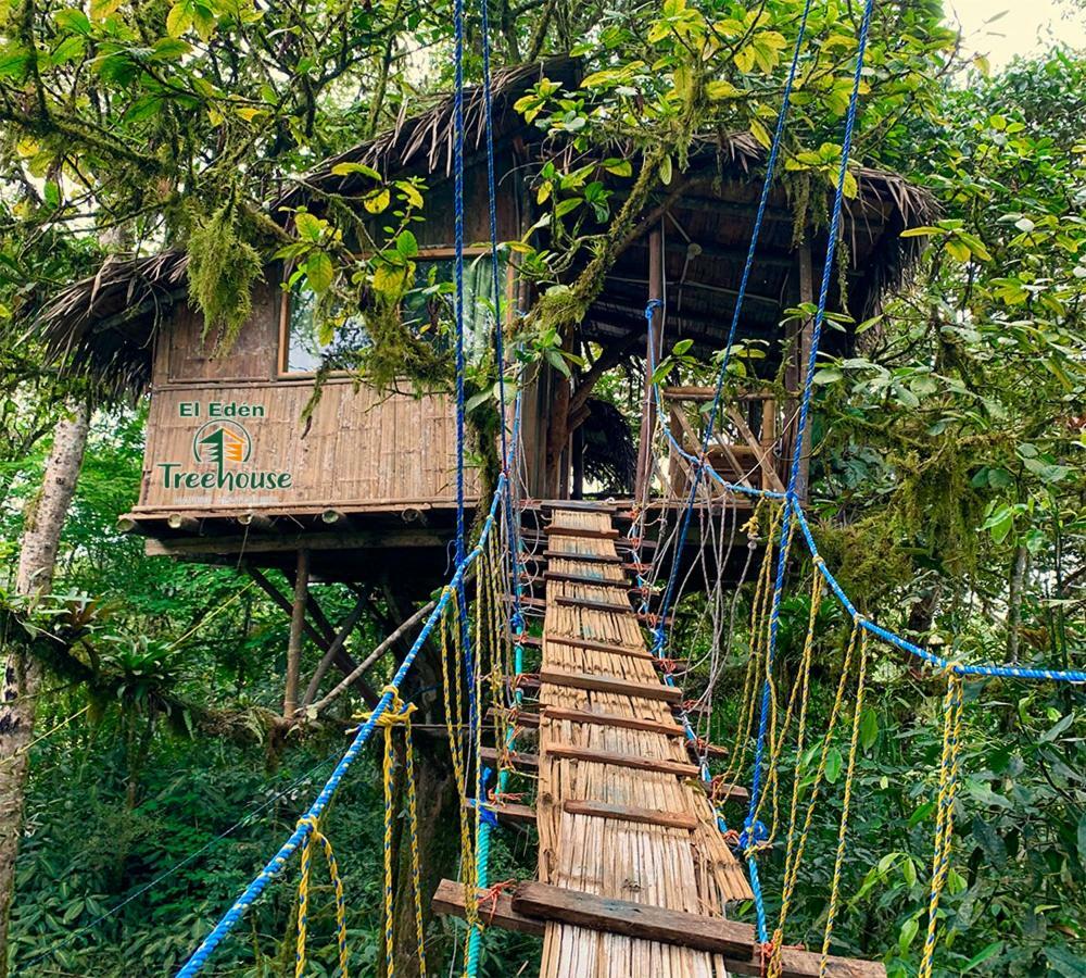 Eden Treehouse Villa มินโด ภายนอก รูปภาพ